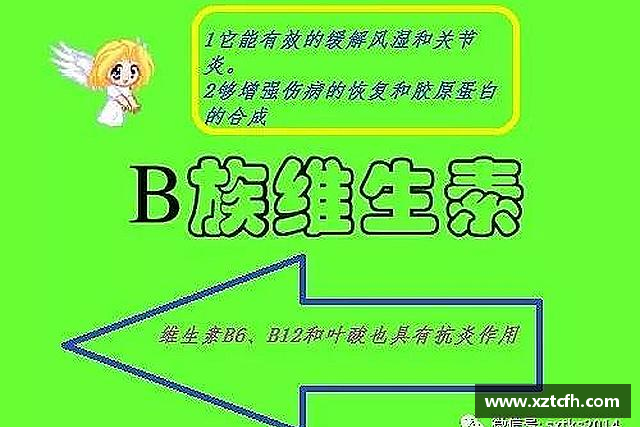 介绍OB视讯